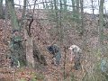 Commando Games 2008 045